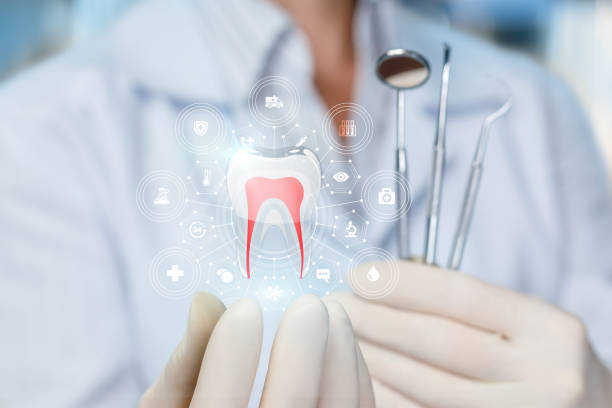 Best Dental X-Rays and Imaging  in West Lafayette, IN